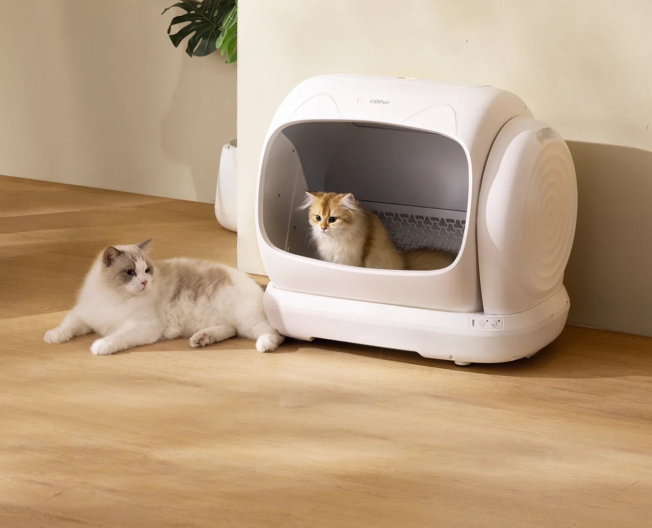 猫砂自动清洁