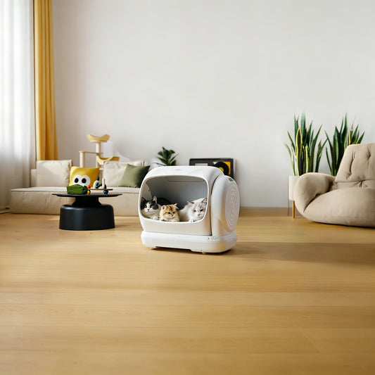 UBPet C41